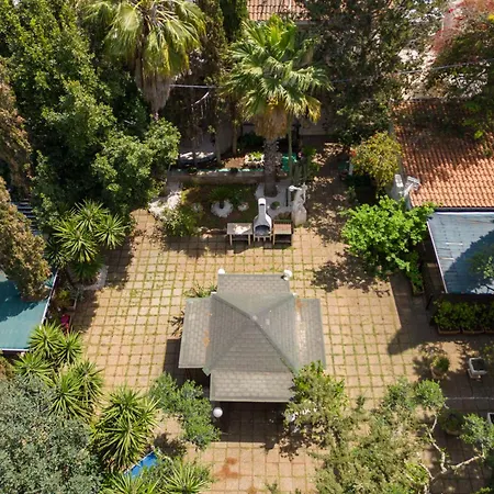 Rosa Ada Punta Prosciutto